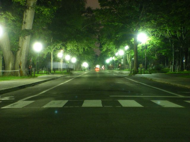 多様性と自然史 -地球と生物の相互関係 -_c0025115_23263633.jpg