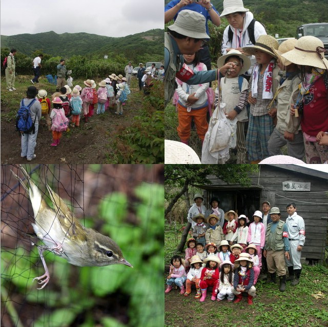 人見保育園ワークキャンプ３日目終了：白神　野鳥観察＠林先生_e0070035_1354167.jpg