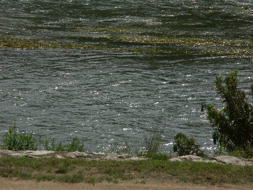 c0032138_18212151.jpg