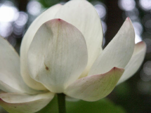 c0032138_18334319.jpg