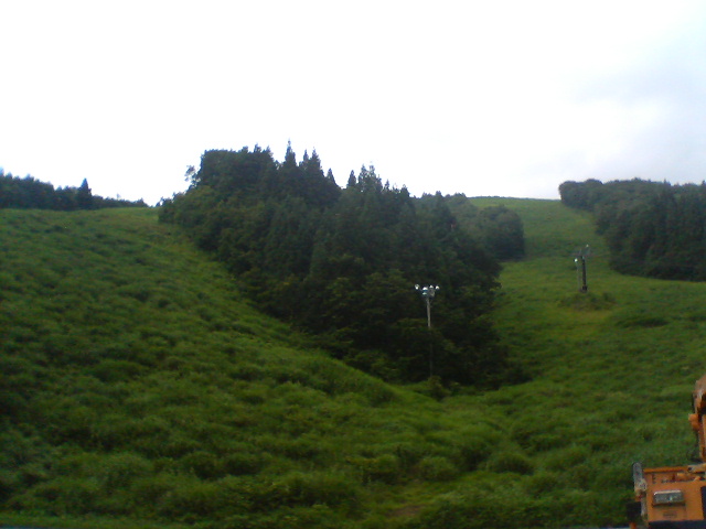 b0085469_203061.jpg