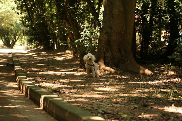 e0024081_15235145.jpg