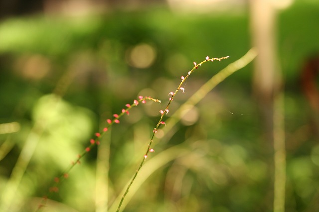e0024081_15241428.jpg