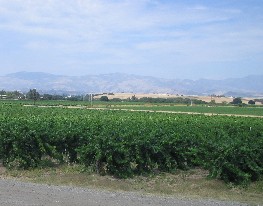 c0013687_22361993.jpg
