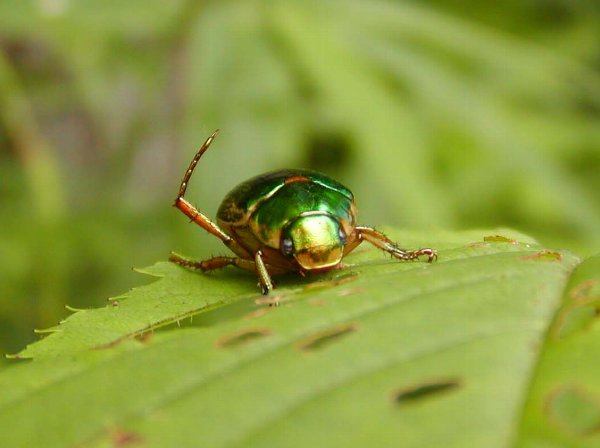 c0057390_041451.jpg