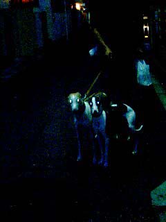 f0094391_03493.jpg