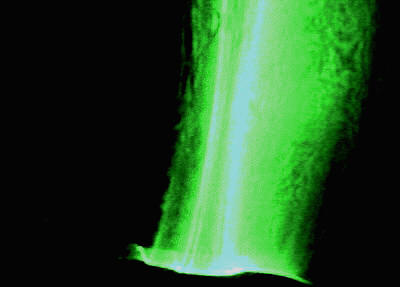 e0010418_919644.jpg