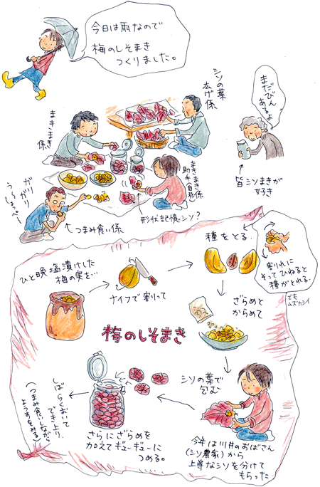 梅のしそまき_b0015222_16494443.gif