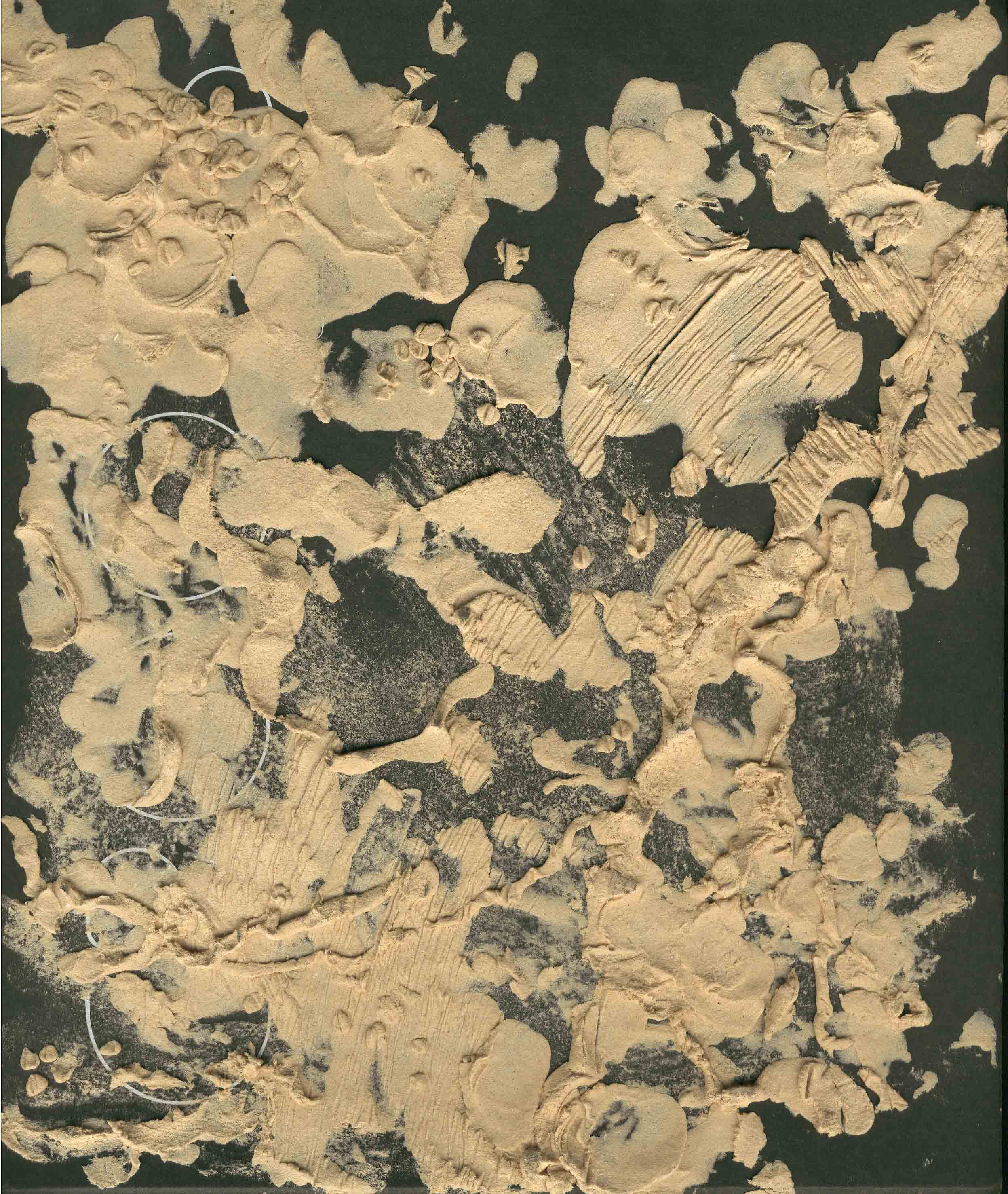 f0055322_8592893.jpg