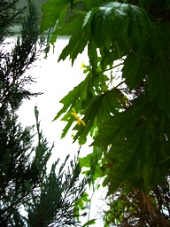 f0013029_13542343.jpg