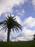 e0033751_2365853.jpg