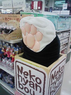 ねこにゃんぼぅ_c0023353_17443655.jpg