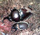 c0039153_00469.jpg