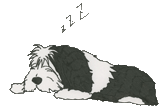 b0050356_22372186.gif