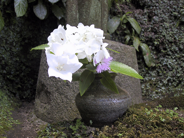 ユートピアが花言葉 徒然道草 未知との邂逅