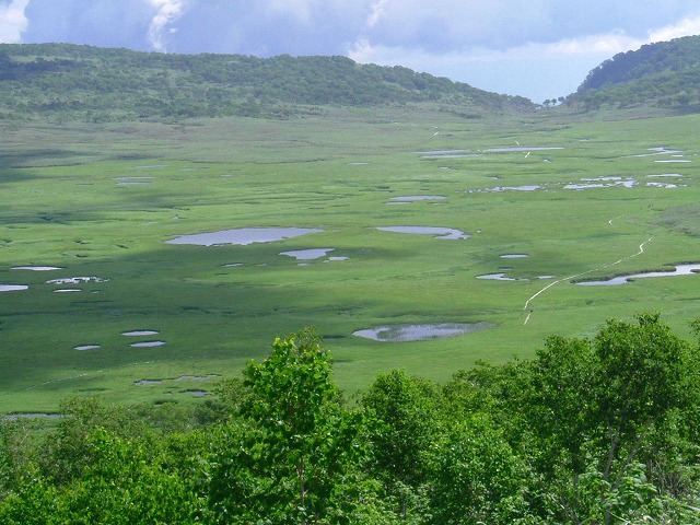 「雨竜沼＆南暑寒岳」_a0056986_83007.jpg