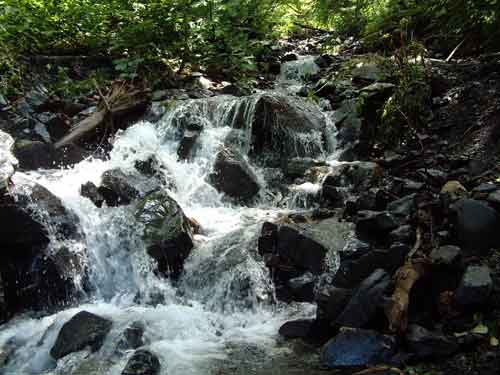 e0001110_6302881.jpg