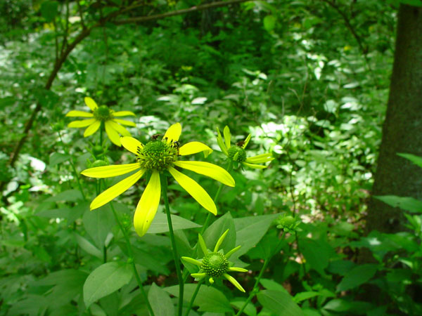 c0047341_2343814.jpg