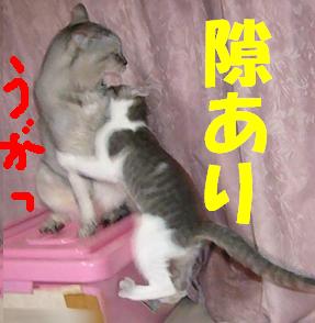 本日の取り組み_f0002743_21582064.jpg