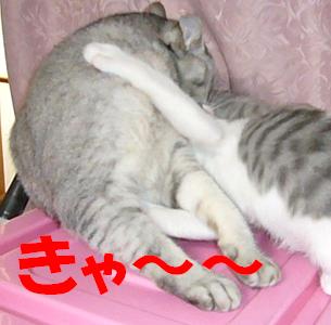 本日の取り組み_f0002743_2202726.jpg