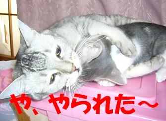 本日の取り組み_f0002743_2242115.jpg