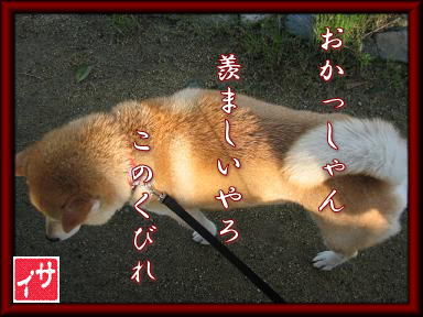入れ替わり立ち替わり_c0049950_17515398.jpg