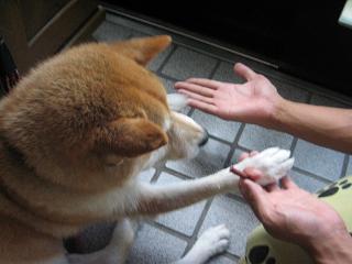 入れ替わり立ち替わり_c0049950_180132.jpg