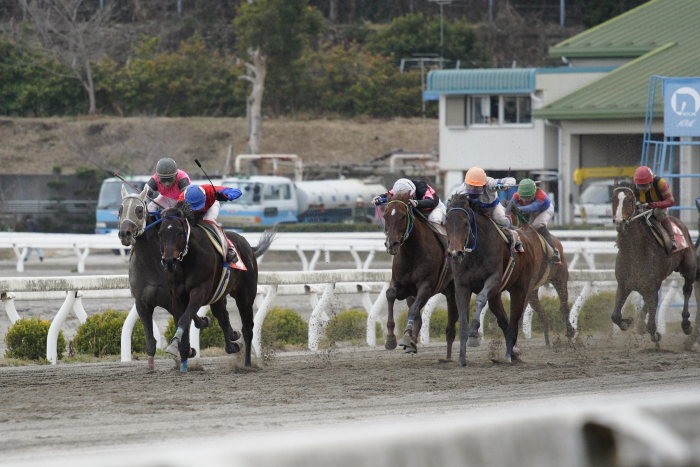 高知競馬は今日も◎！_a0077663_182015100.jpg