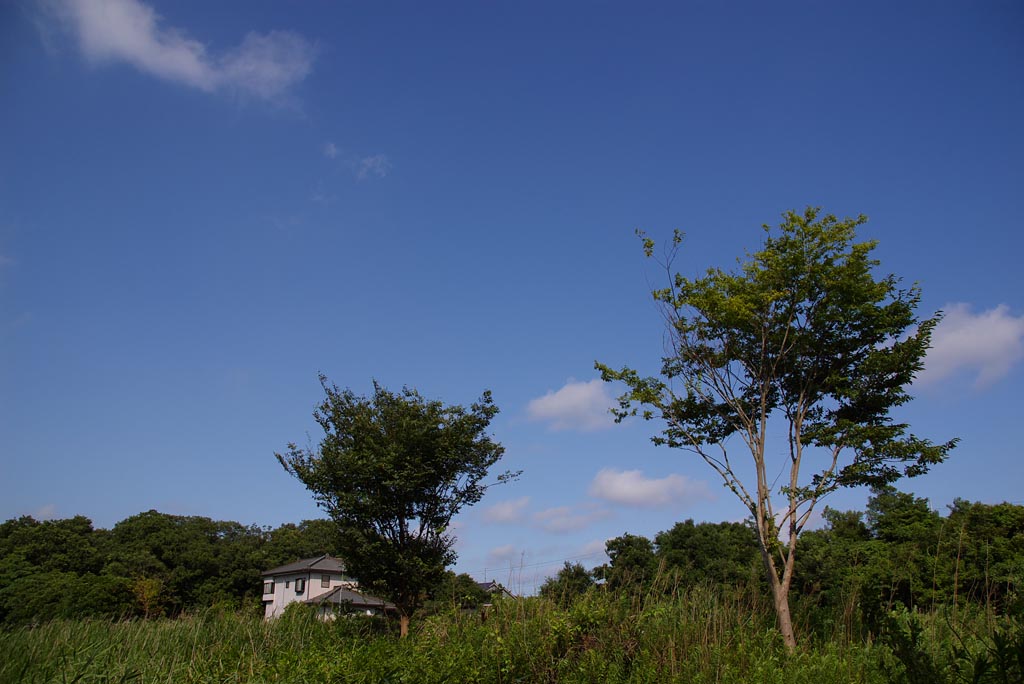 e0071178_19351340.jpg