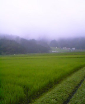 e0024081_982365.jpg