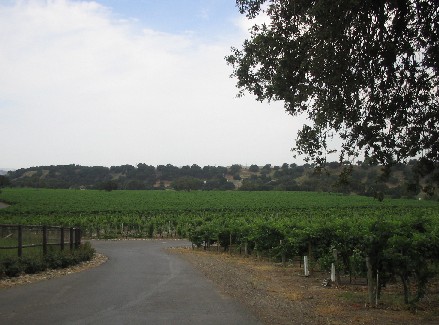c0013687_1618330.jpg