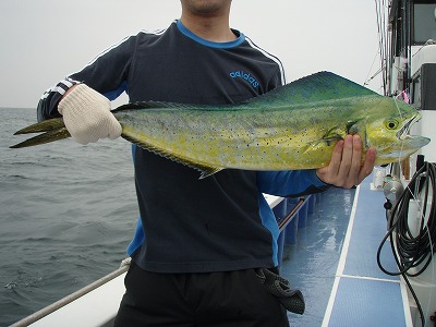 d0078790_22472414.jpg