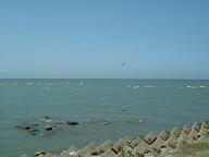 c0069692_2364783.jpg