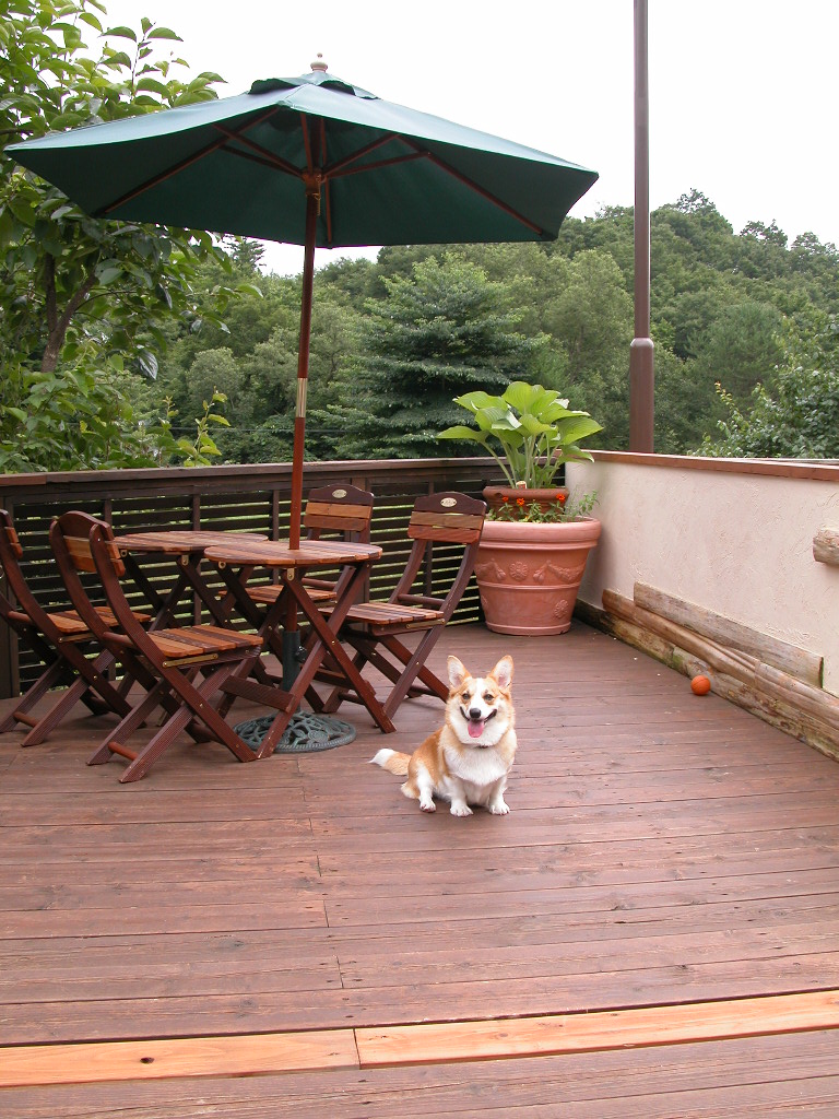 f0075595_19175959.jpg