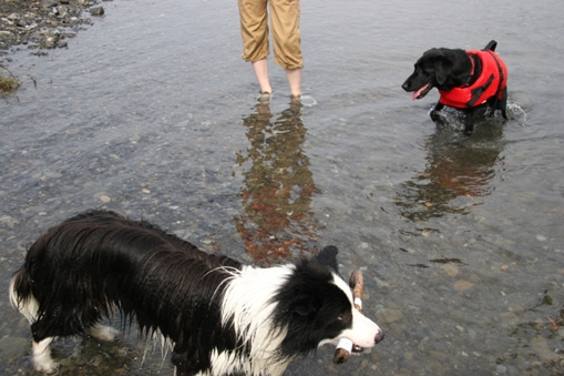 f0034602_9275660.jpg