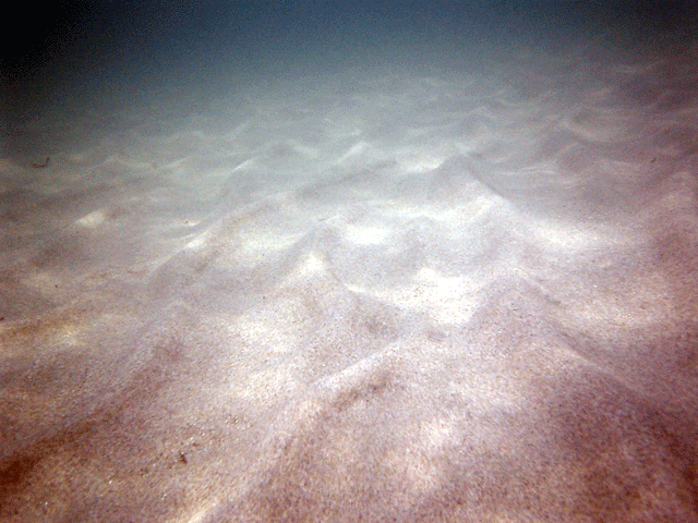 e0063003_15514359.gif