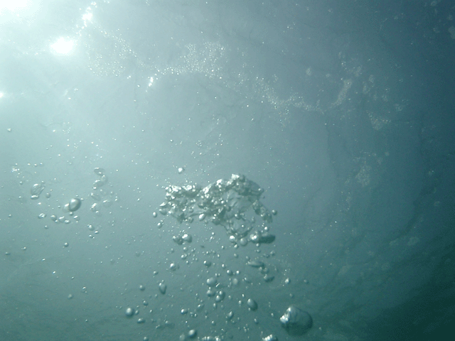 e0063003_1551523.gif