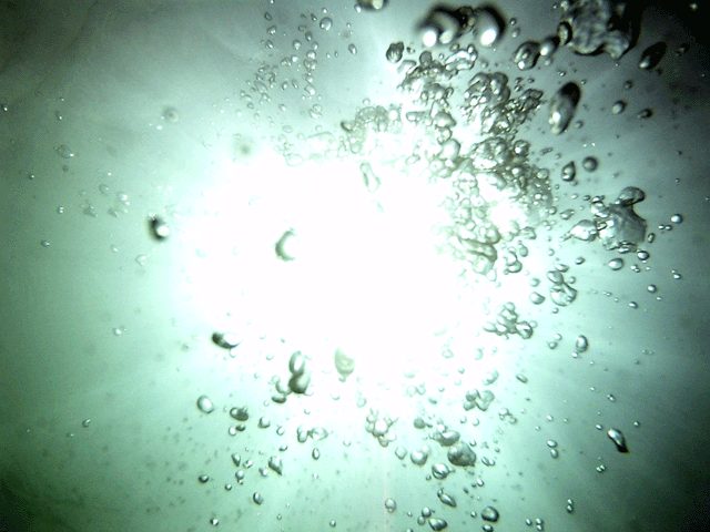 e0063003_1552061.gif