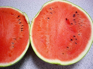 f0079111_17503755.jpg