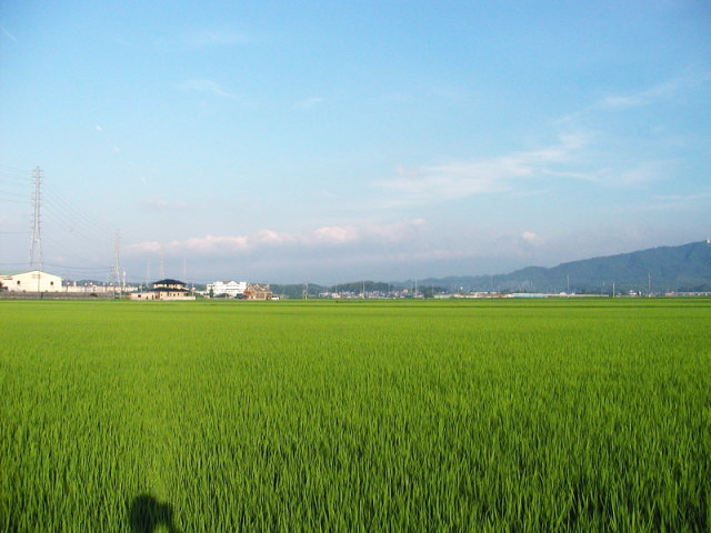 a0030713_1919496.jpg