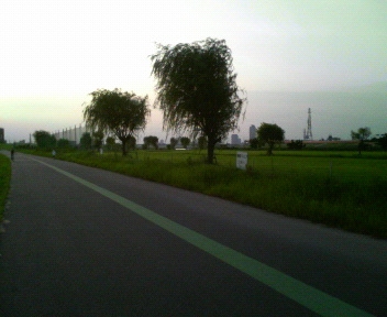 a0077616_19214689.jpg