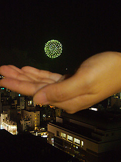 安倍川花火　～真夏の夜の夢～_c0053520_2119954.jpg