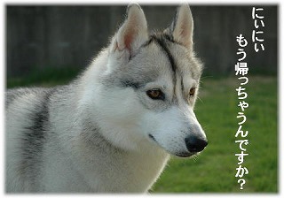 a0047325_855768.jpg