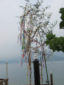 b0100637_20404066.gif