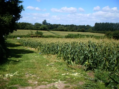 f0072241_2221665.jpg