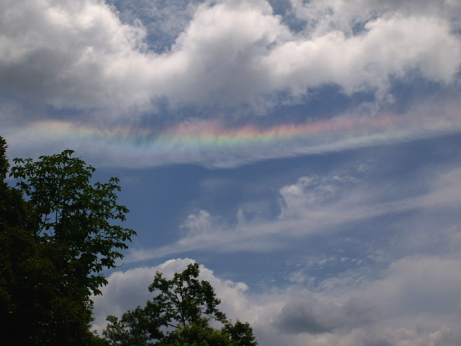 e0028952_3433174.jpg