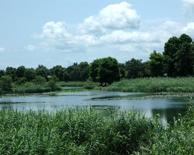 e0035757_08991.jpg