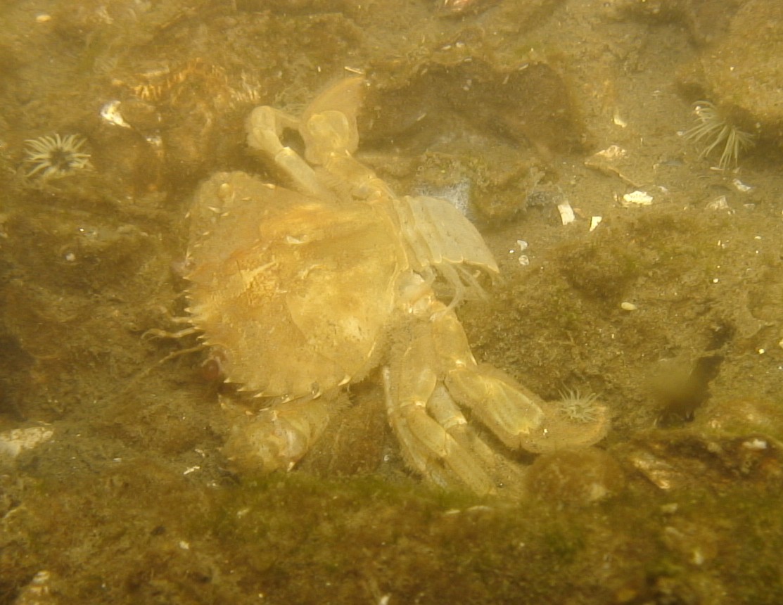 b0075059_13554050.jpg