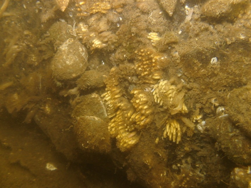 b0075059_1415932.jpg
