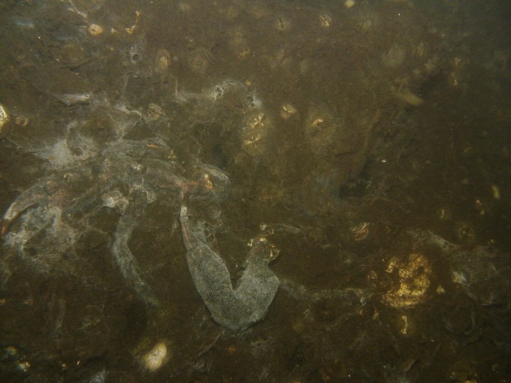 b0075059_1441942.jpg